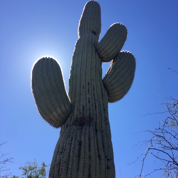 Profile Picture of Savannah Gesick (@sjeg33) on Poshmark