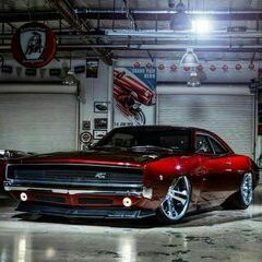 Profile Picture of Big Bass & and No trash (@davidcryer1978) on Pinterest