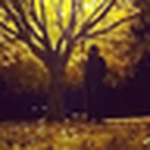 Profile Picture of Brandt Updike (@pqzar) on Flickr