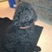 Profile Picture of Stanley CarringtonBailey (@stanley.carringtonbailey) on Facebook