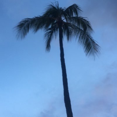 Profile Picture of Nick Prater (@Nick_football37) on Twitter