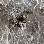 Connor Henson - Instagram Profile Picture of Connor Henson (@connor.henson.12) on Instagram