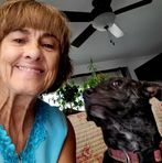 Debbie Drumm Mellowship - Facebook Profile Picture of Debbie Drumm Mellowship (@debbie.mellowship) on Facebook