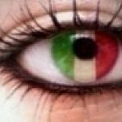 Profile Picture of Barbara Springer (@animaitaliana) on Twitter