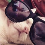 Profile Picture of James Roehr (@james.roehr04) on Instagram