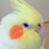 Profile Picture of Jacqueline Chambers (@Availles) on Flickr