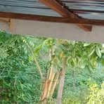 Profile Picture of Neil Rapada (@Neil-Rapada) on Facebook