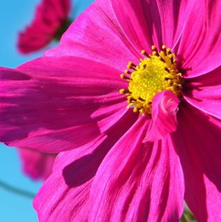 Amanda Craig - Facebook Profile Picture of Amanda Craig (@amanda.craig.18847) on Facebook