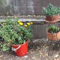 Profile Picture of Amanda Davidson (@amanda-davidson-4) on Quora