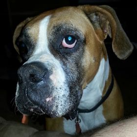 Profile Picture of Allen Derrick (@watchnu2) on Pinterest