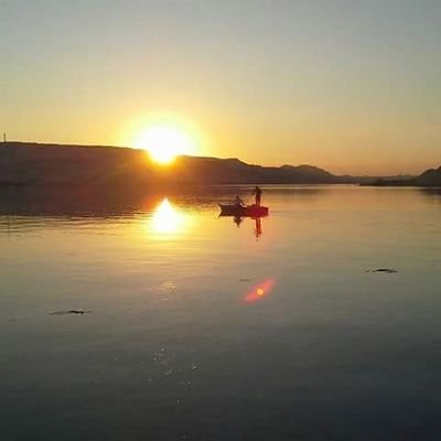 Profile Picture of Mohamed Murad (@MohammedMurad55) on Twitter