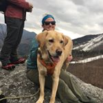 Profile Picture of Ana Keefe (@akeefe91) on Instagram