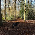 Profile Picture of cecil_chapmanc (@cecil_chapmanc) on Instagram