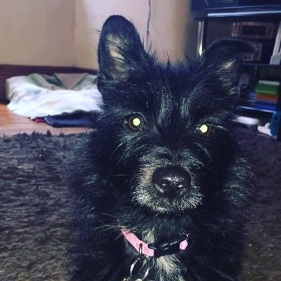 Profile Picture of RubyKeenan (@RubyKeenan7) on Twitter