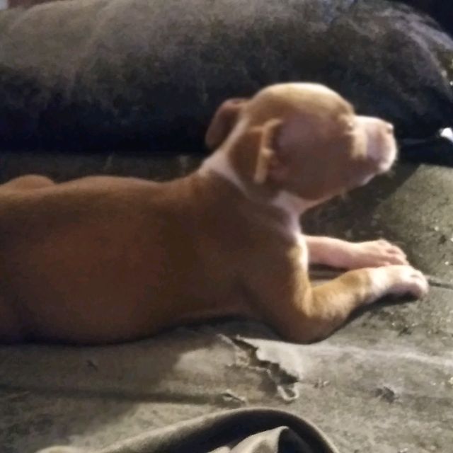 Profile Picture of theone_47 (@derek.askew) on Tiktok