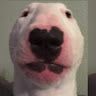Profile Picture of Nicholas Capone (@nicholascapone23) on Pinterest