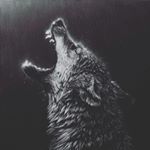 Dániel Gebauer - Instagram Profile Picture of Dániel Gebauer (@gebauer.daniel) on Instagram