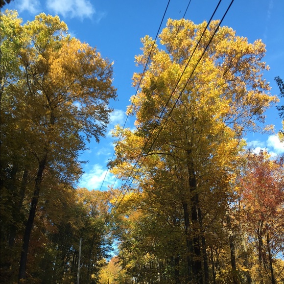 Profile Picture of Christina Giffing (@christinac09) on Poshmark