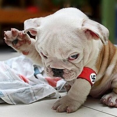 Profile Picture of James Ling (@bigviking_jim) on Twitter