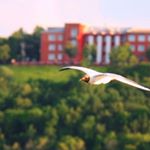 Profile Picture of sabra evans (@sabraevans3) on Instagram