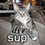 Profile Picture of David Yerzy (@Pere LaChaise) on Flickr