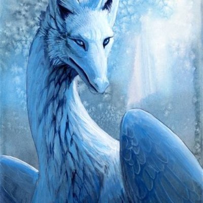 Profile Picture of Carellton Wolf (@HallamHayden) on Twitter