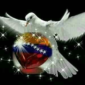 Profile Picture of Iris Navarro (@TuiteraIris) on Twitter