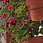 Profile Picture of Priego De Córdoba  Turismo (@turismo de priego de córdoba) on Flickr
