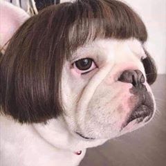 Profile Picture of Chrisher (@skippyy3rd) on Tiktok