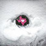 Profile Picture of Crystal Hardie Bedford (@crystal_bedford) on Instagram