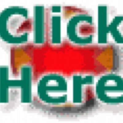 Profile Picture of Terry Wedel (@terry_wedel) on Twitter