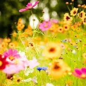 Profile Picture of Sabrina Thomas (@babygur90) on Myspace