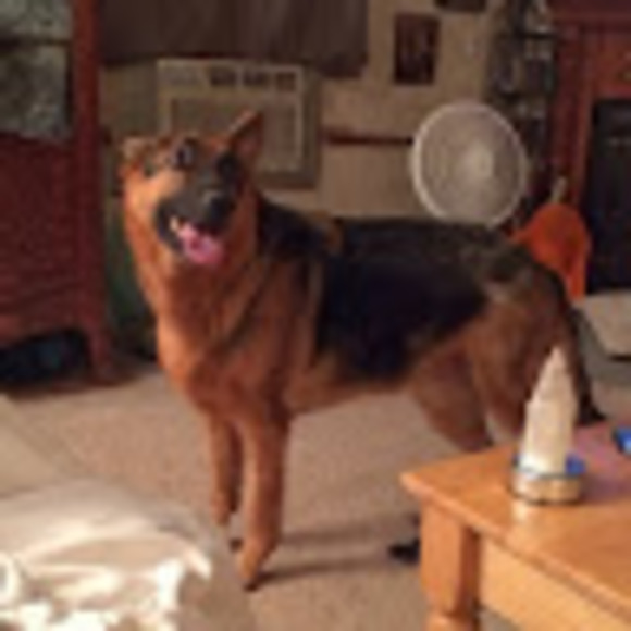 Profile Picture of Velora Naegeli (@velora_naegeli) on Poshmark