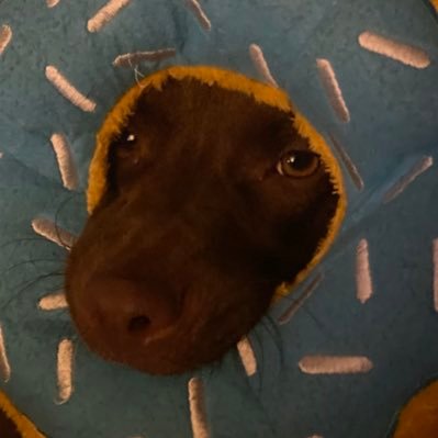 Profile Picture of Greasy-Savage (@Antwan_Charles) on Twitter