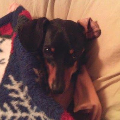 Profile Picture of TINA MARIE HOFFMAN (@Jasmine112772) on Twitter