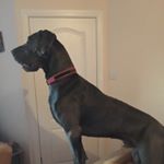 Profile Picture of Richard Strefford (@richardstrefford) on Instagram