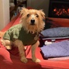 Profile Picture of Jesse Selby (@@jesseselby03) on Tiktok