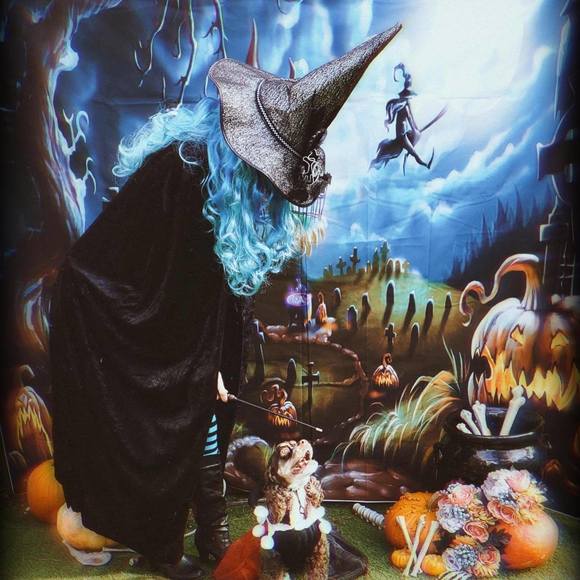 Profile Picture of Emily Yousefzadeh (@e_yousefzadeh) on Poshmark