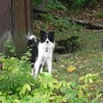 Profile Picture of Deborah Trott (@trott.deborah) on Instagram