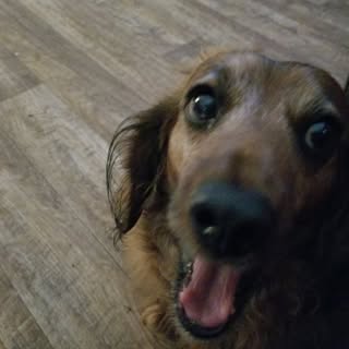 Profile Picture of Pat Botts (@bottspat) on Instagram