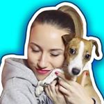 Profile Picture of СОБАКА ДЖИНА и др. ПИТОМЦЫ (@ellidi_pets) on Instagram