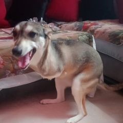 Sue Thornton - Tiktok Profile Picture of Sue Thornton (@sue.thornton2) on Tiktok