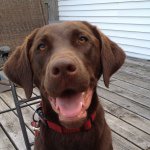 Profile Picture of Krista Bruni-Matthews (@kbruni1984) on Instagram