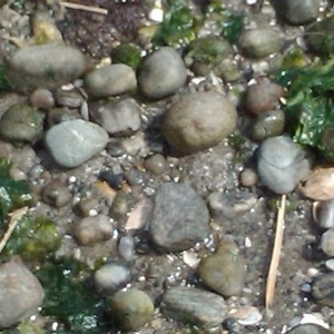 Profile Picture of Crystal Bozak (@355652619) on Myspace