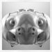 Profile Picture of James Simeone (@jamess1819) on Pinterest