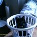 Profile Picture of Paula Blohm (@junior60) on Pinterest