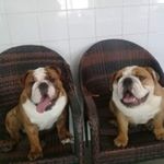 Profile Picture of Paul Chamberlain (@paul.chamberlain241265) on Instagram