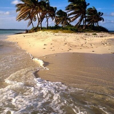 Profile Picture of Randy Corey (@randyc102) on Twitter