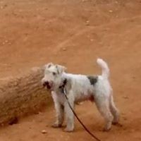 Shari Davies - Quora Profile Picture of Shari Davies (@shari-davies-3) on Quora