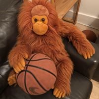 Profile Picture of Michael Rhom Simeon (@michael-rhom-simeon) on Quora